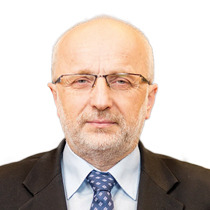 prof. nadzw. dr hab. Krzysztof Safin